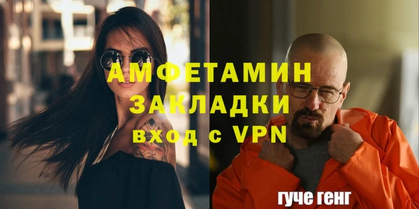 гидра Арсеньев