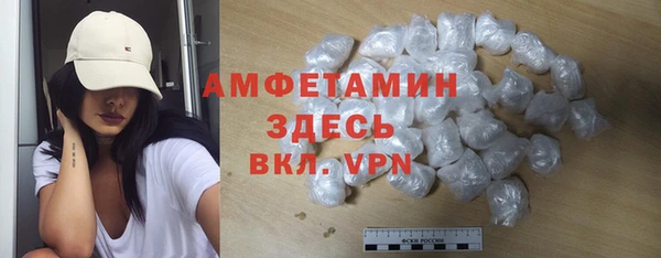 гидра Арсеньев