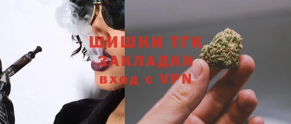 гидра Арсеньев