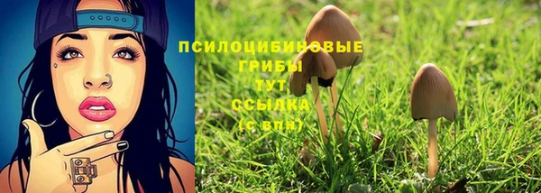 ешки Армянск