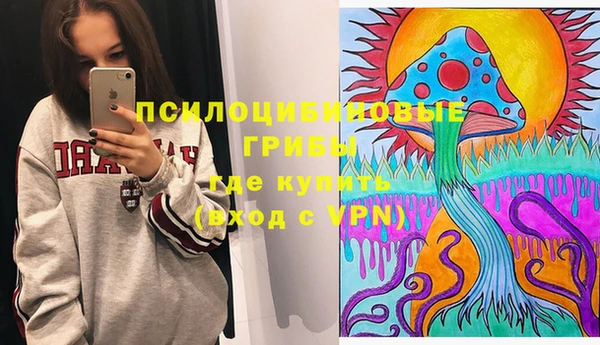 гидра Арсеньев