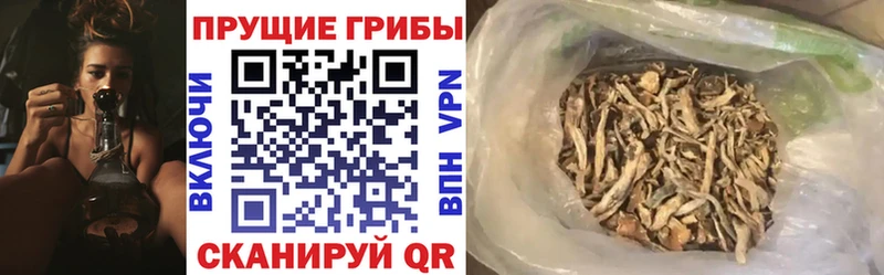 Псилоцибиновые грибы Magic Shrooms  Купить где  Кузнецк 